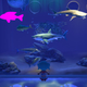 The Kotaku Fish in display